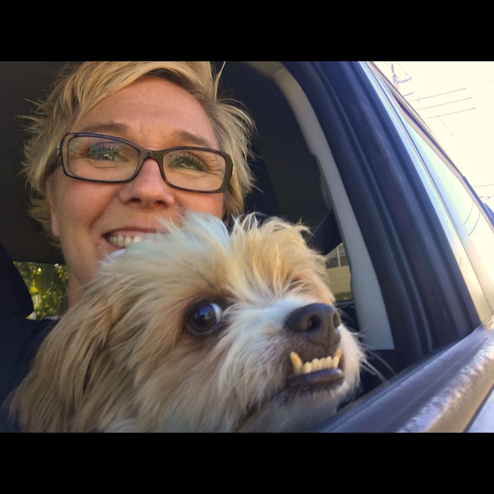 Meet your Posher, Tyla